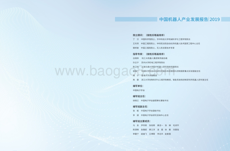 2019年中国机器人产业发展报告.pdf_第2页