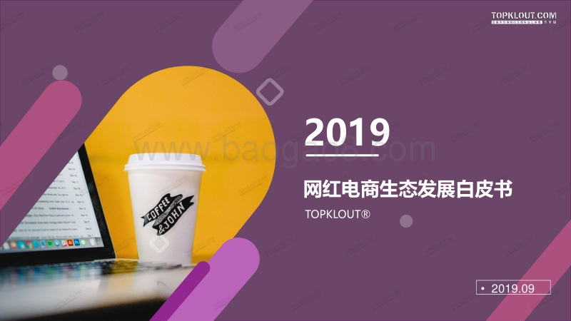 2019网红电商生态发展白皮书.pdf_第1页
