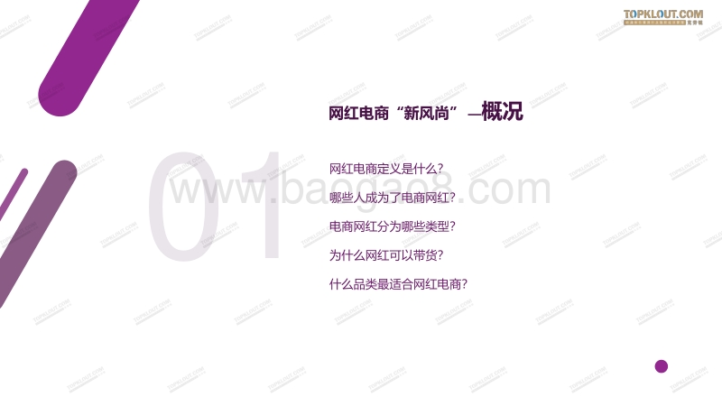 2019网红电商生态发展白皮书.pdf_第5页