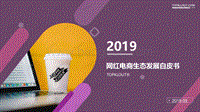 2019网红电商生态发展白皮书.pdf