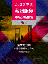 2020中国薪酬服务市场分析报告.pdf