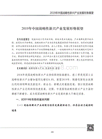 2019年中国战略性新兴产业发展形势展望.pdf