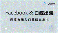 印度市场入门策略白皮书.pdf