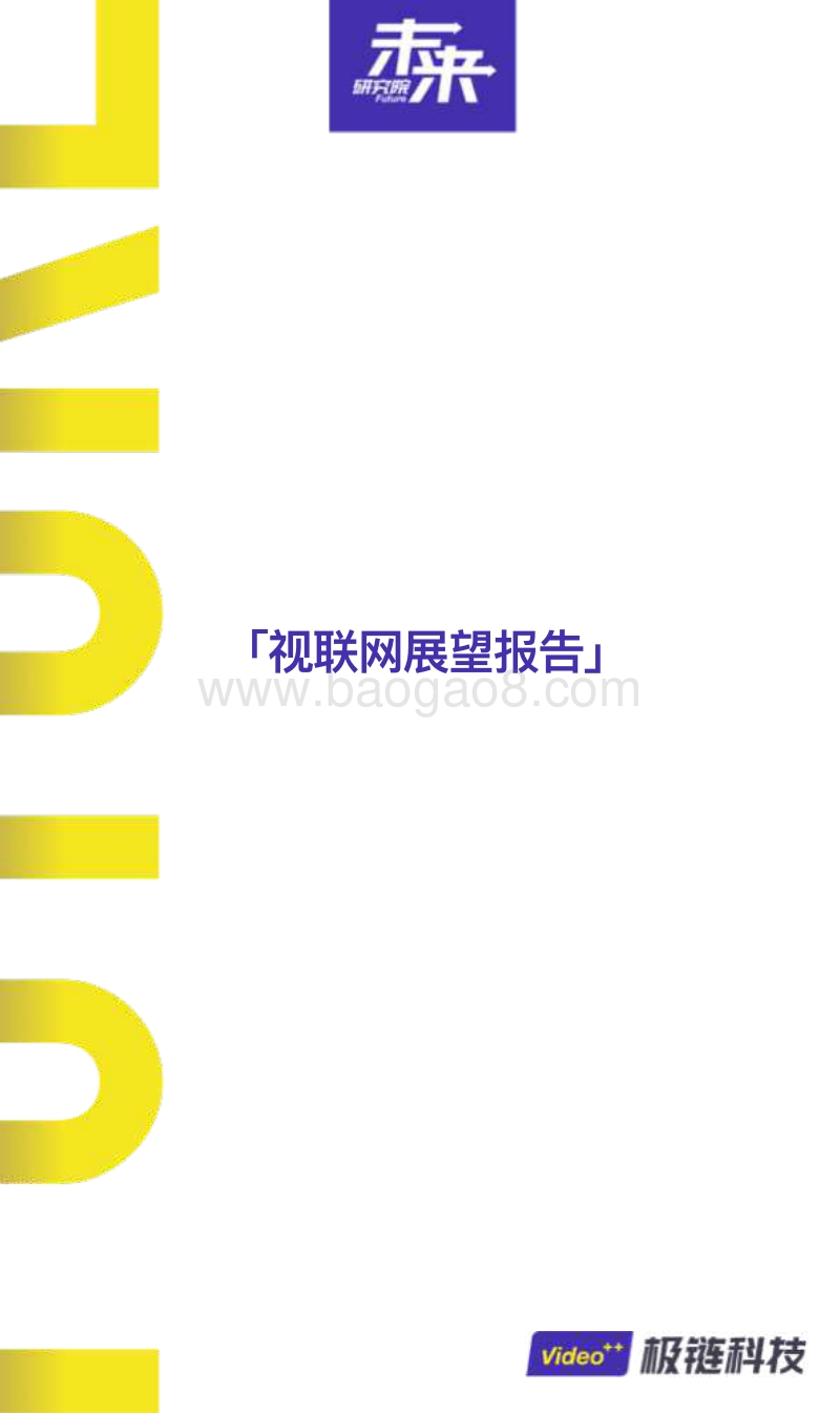 视联网展望报告.pdf_第2页