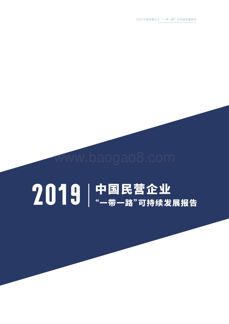 中国民营企业“一带一路”可持续发展报告（2019）.pdf_第3页