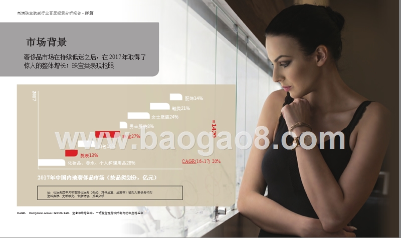 2019高端珠宝腕表行业搜索分析报告.pptx_第3页