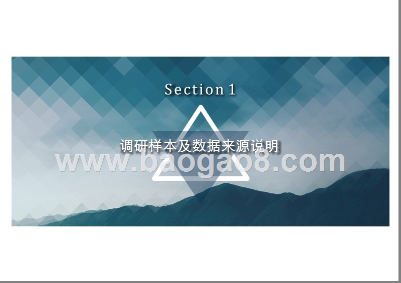 国际学校薪酬与教师发展报告.pptx_第4页