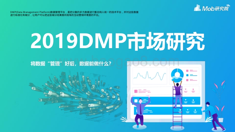 2019DMP市场研究.pdf_第1页
