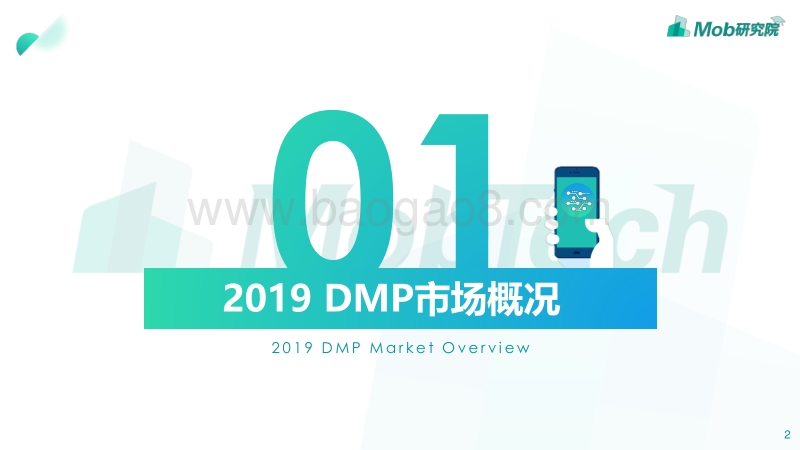 2019DMP市场研究.pdf_第2页