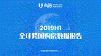2019上半年全球跨国购房数据报告.pdf
