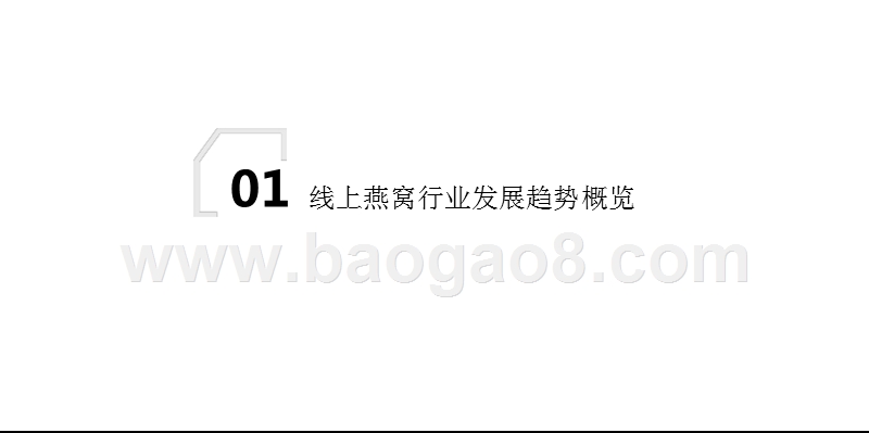 2019天猫即食燕窝行业发展前景研究报告.pptx_第4页