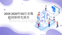 2019-2020年5G行业数据洞察研究报告.pptx