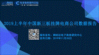 2019上半年中国新三板挂牌电商公司数据报告.pdf