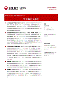 环保行业之大气排放治理篇：雾里看花花未开.pdf
