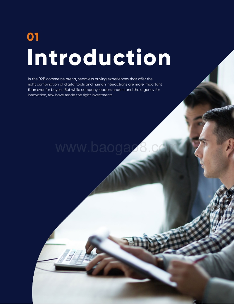 报告：解决B2B电子商务难题.pdf_第2页