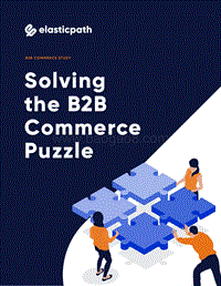 报告：解决B2B电子商务难题.pdf