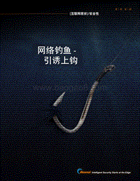 互联网现状安全性：网络钓鱼，引诱上钩.pdf