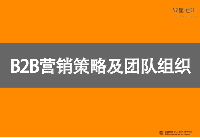 2019年B2B营销策略白皮书.pdf_第3页