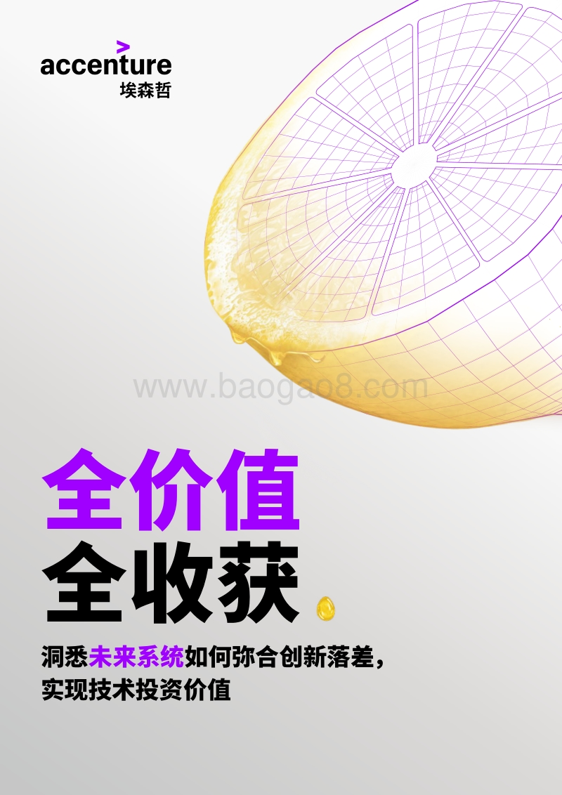 全价值全收获：洞察未来系统.pdf_第1页