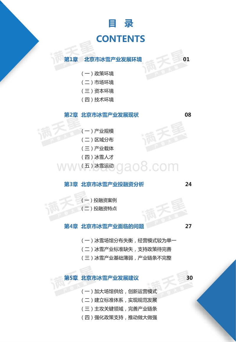 2019北京市冰雪产业发展研究.pdf_第4页