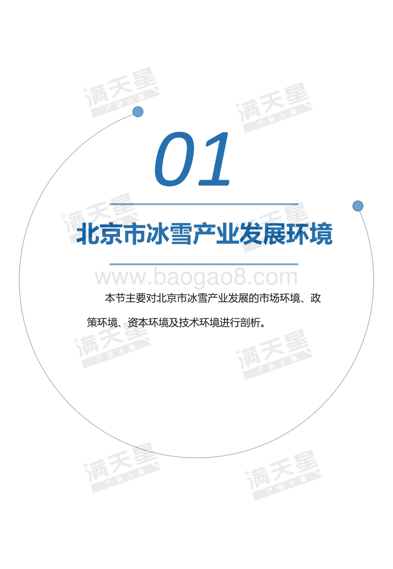 2019北京市冰雪产业发展研究.pdf_第5页