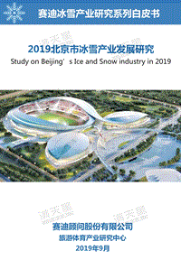 2019北京市冰雪产业发展研究.pdf