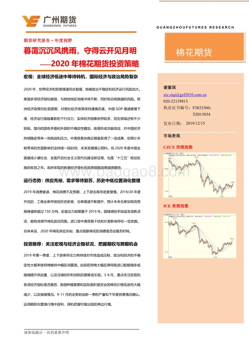2020年棉花期货投资策略：暮霭沉沉风雨骤，守得云开见月明.pdf_第2页
