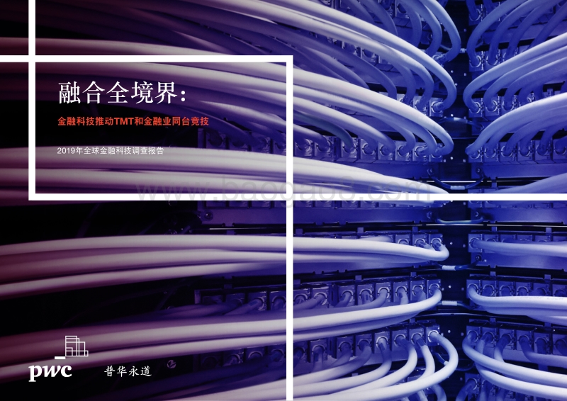 2019年全球金融科技调查报告.pdf_第1页