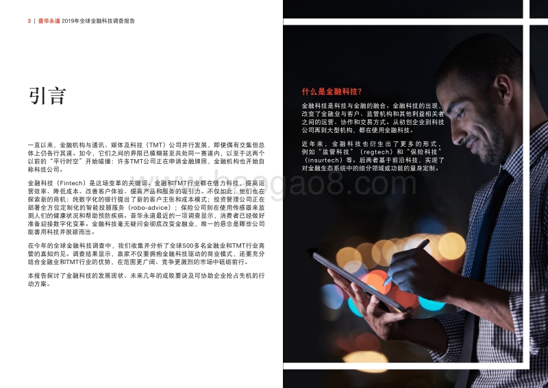 2019年全球金融科技调查报告.pdf_第3页