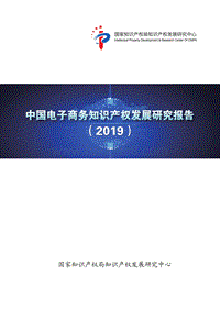 中国电子商务知识产权发展研究报告（2019）.pdf