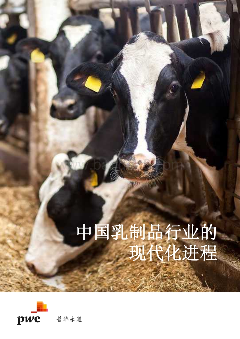 中国乳制品行业的现代化进程.pdf_第1页