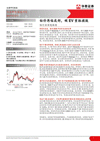 钴行业深度报告：钴价再临底部，候EV重振旗鼓(1).pdf