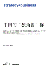 中国的“独角兽”群.pdf