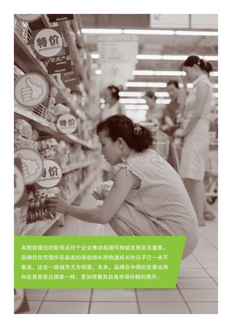 2013年中国购物者报告-1.pdf_第4页