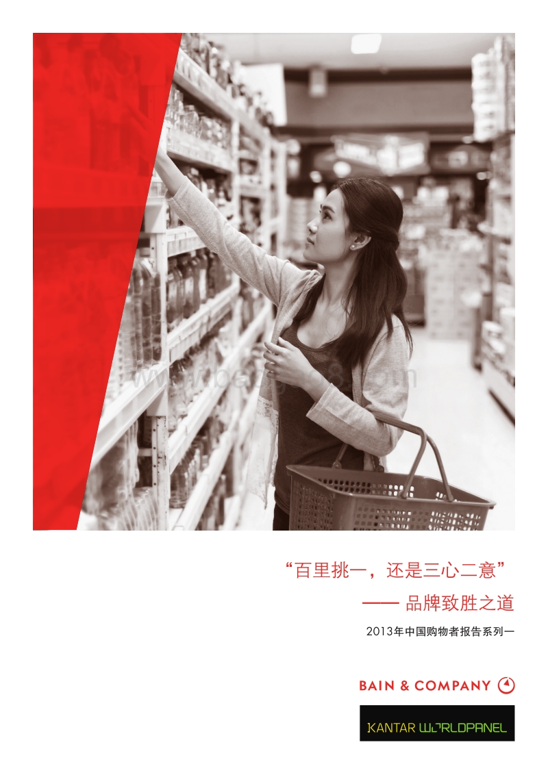 2013年中国购物者报告-2.pdf_第1页