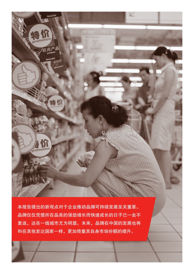 2013年中国购物者报告-2.pdf_第4页