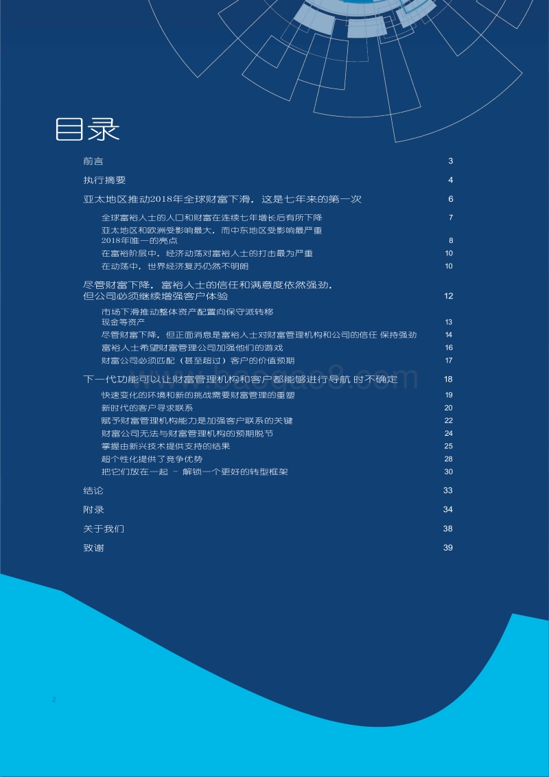 世界财富报告2019.pdf_第2页