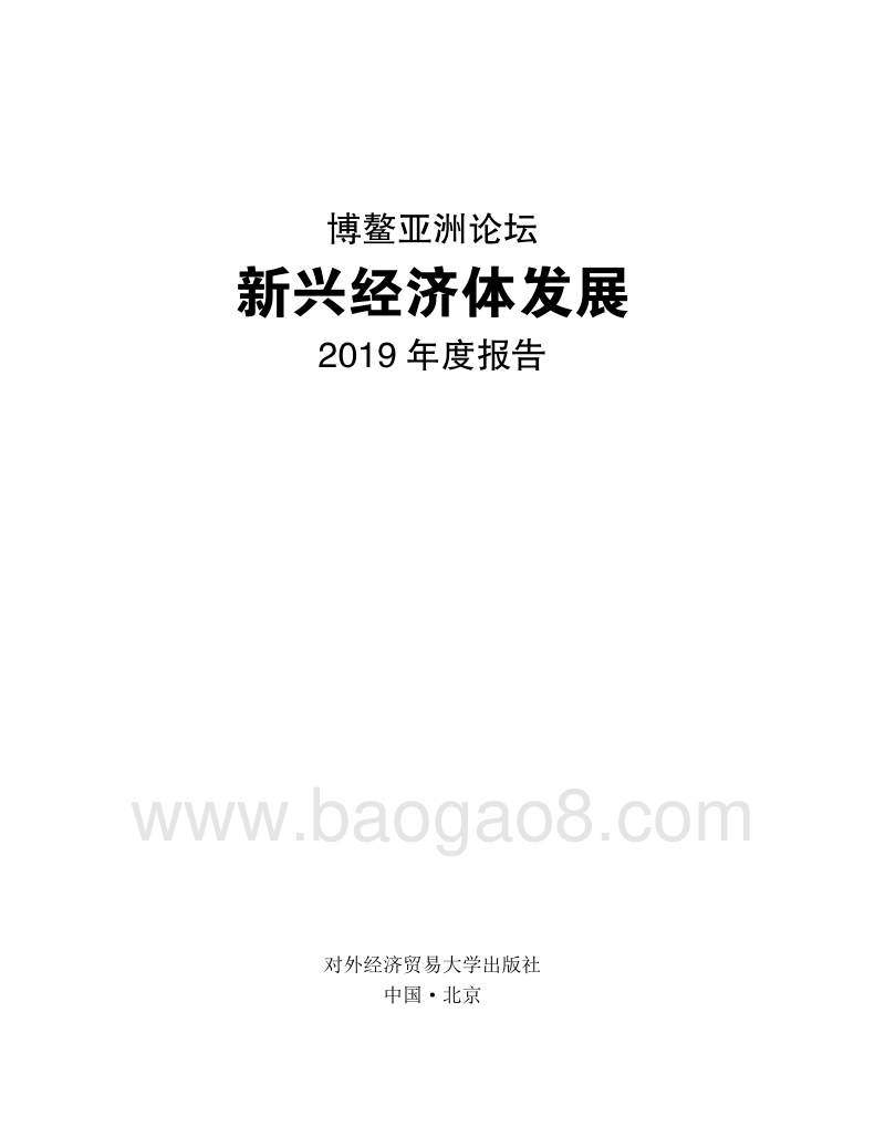 新兴经济体发展2019年度报告.pdf_第1页