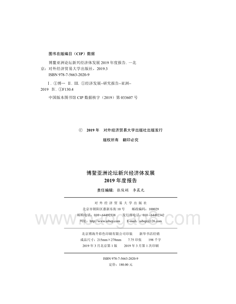 新兴经济体发展2019年度报告.pdf_第2页