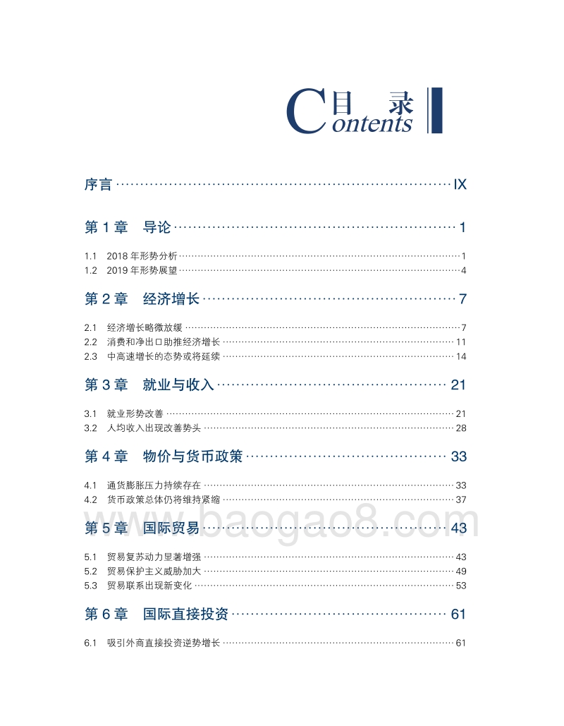 新兴经济体发展2019年度报告.pdf_第3页