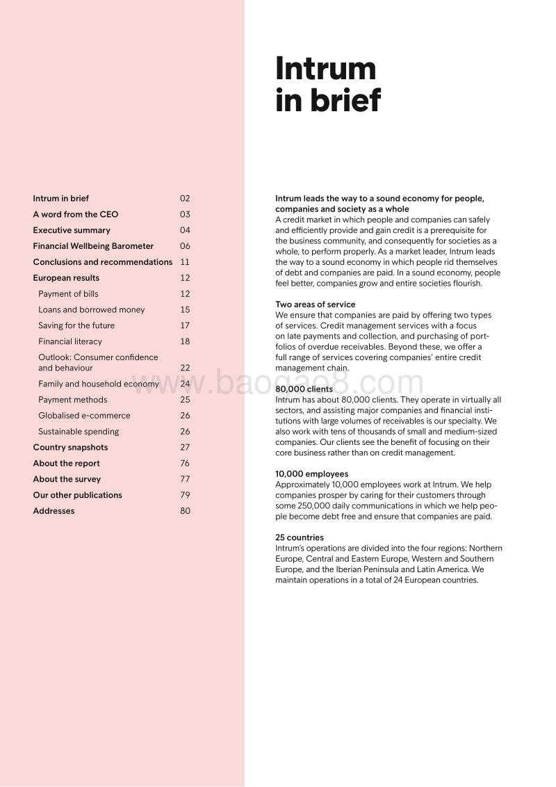 2019年欧洲消费者支付报告.pdf_第2页