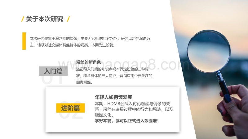 粉丝文化入门手册（进阶篇）.pdf_第2页