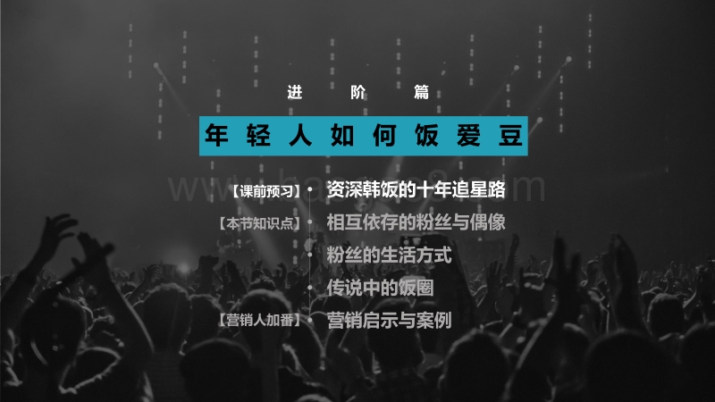 粉丝文化入门手册（进阶篇）.pdf_第3页