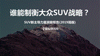2019简版SUV新主导力量洞察报告.pdf