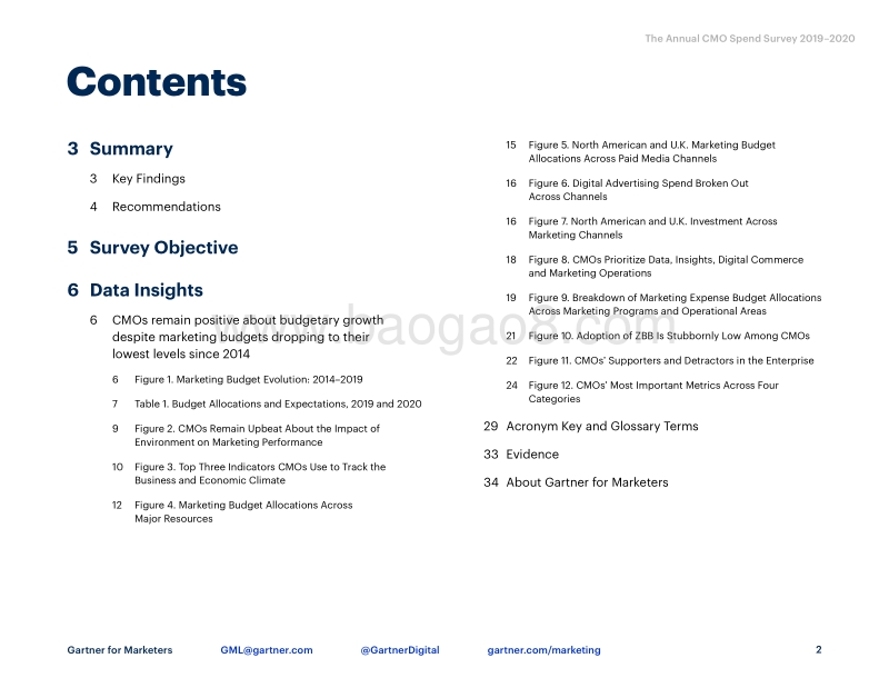 2019-2020年首席营销官CMO支出年度报告.pdf_第2页