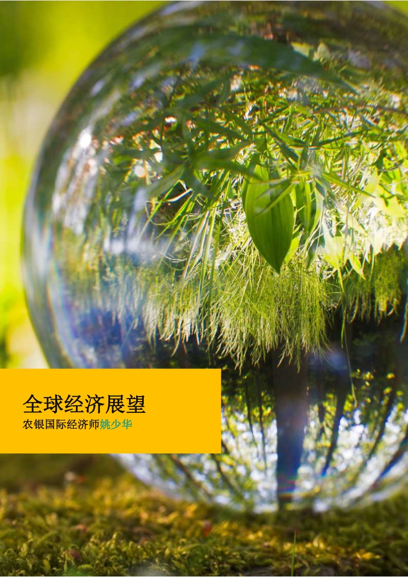 2020年经济展望及投资策略报告.pdf_第3页