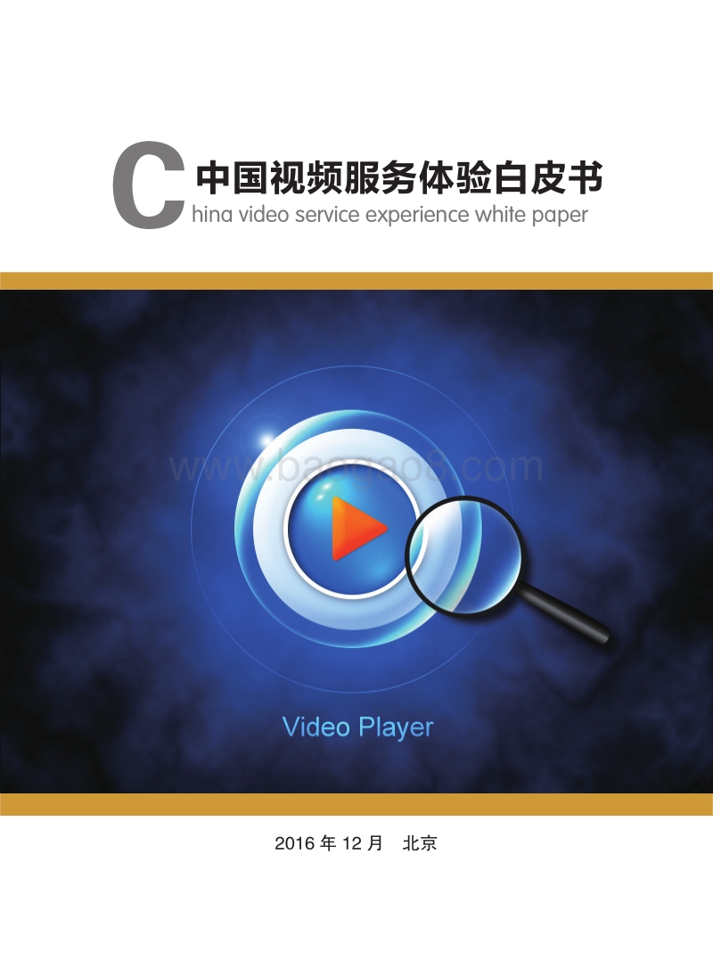 中国视频服务体验白皮书.pdf_第1页