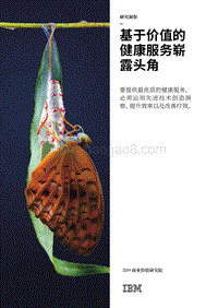基于价值的健康服务崭露头角.pdf