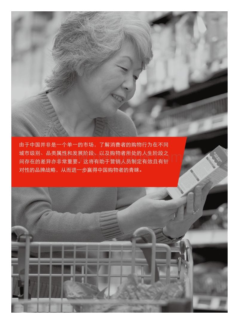 2012年中国购物者报告-2.pdf_第4页