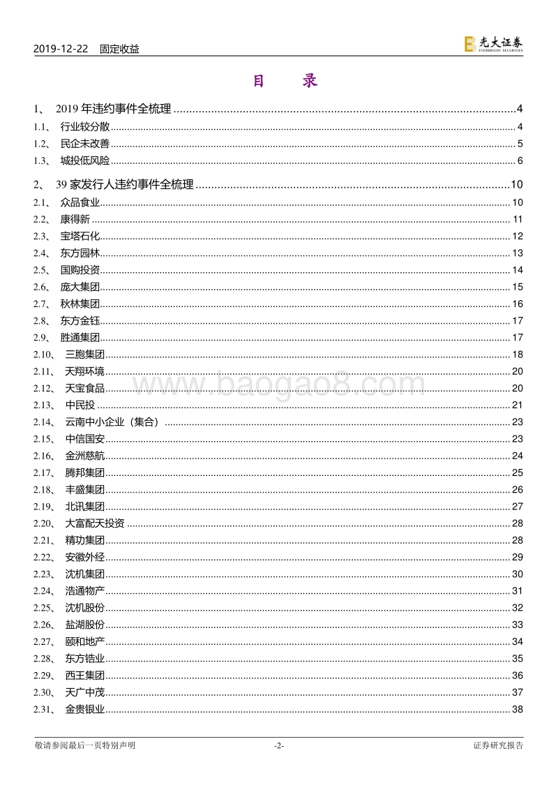 债券违约专题研究之九：2019年债券违约事件全梳理.pdf_第2页